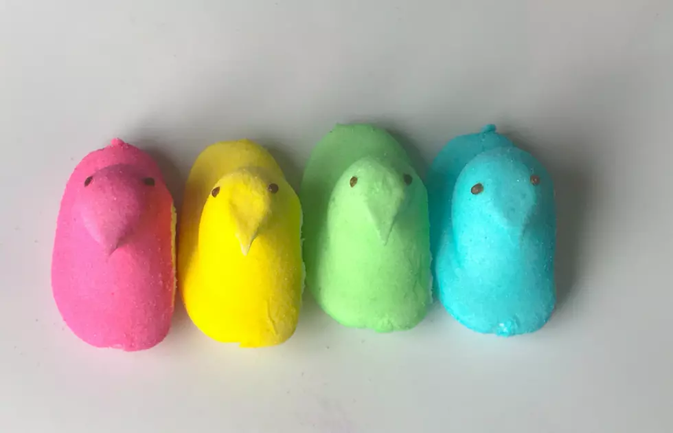 Survey Says Wyoming Loves Marshmallow Peeps