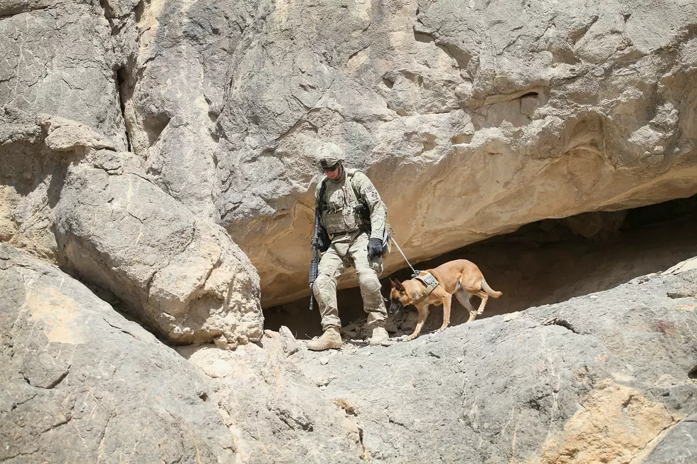 Wyoming Veterans Memorial Park Unveils War Dog Monument