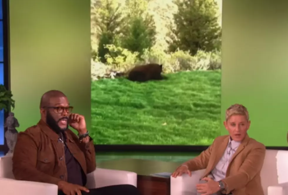Actor Tyler Perry Encounters A Bear In Wyoming [VIDEO]