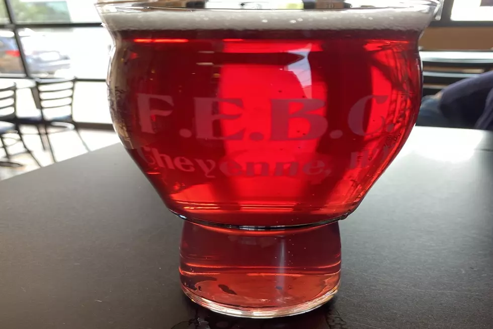 Wyoming Beer Review Wild Bliss Blueberry  