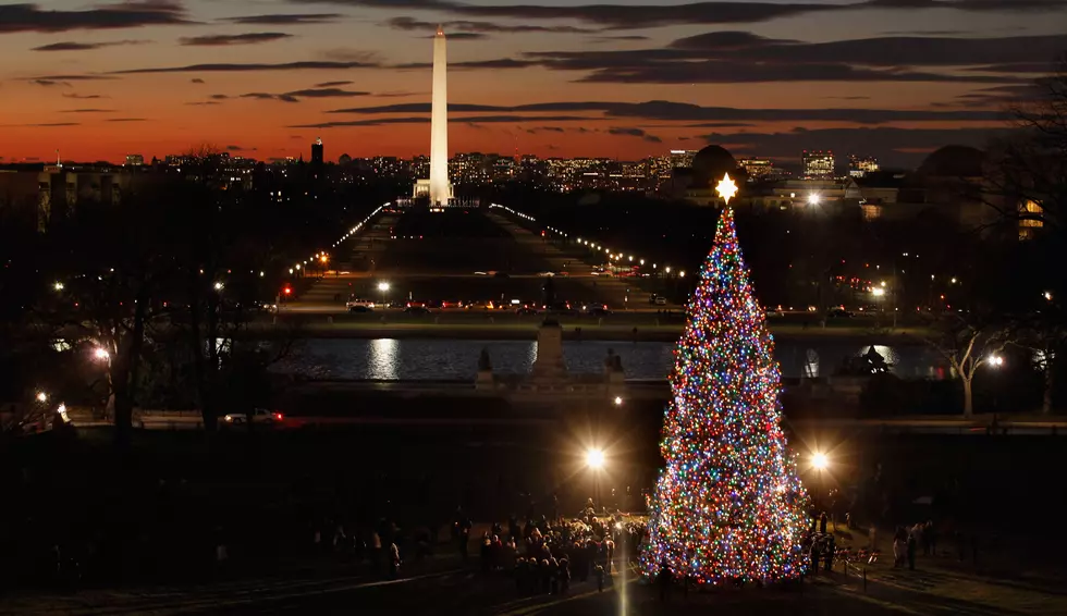 LOOK: When Wyoming Provided the US Capitol Christmas Tree