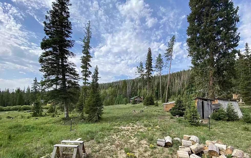 8 Pics of a Log Cabin Tucked into Wyoming&#8217;s Snowy Mountain Range