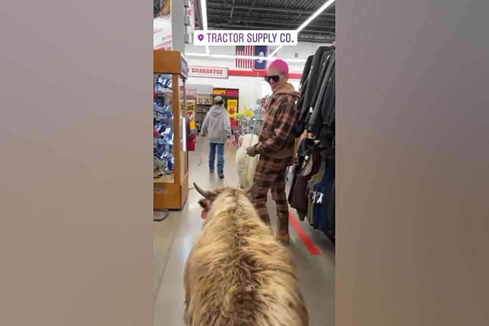 Watch Wyoming’s Jeffree Star Take 2 Yaks into a Store