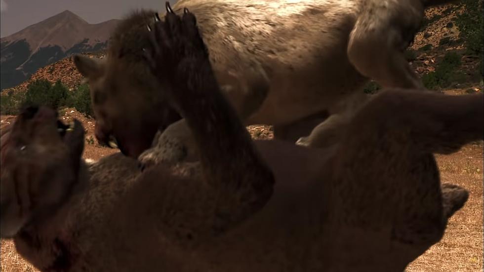 Mega-Lions Used to Fight Bears in a Wyoming Jurassic Fight Club
