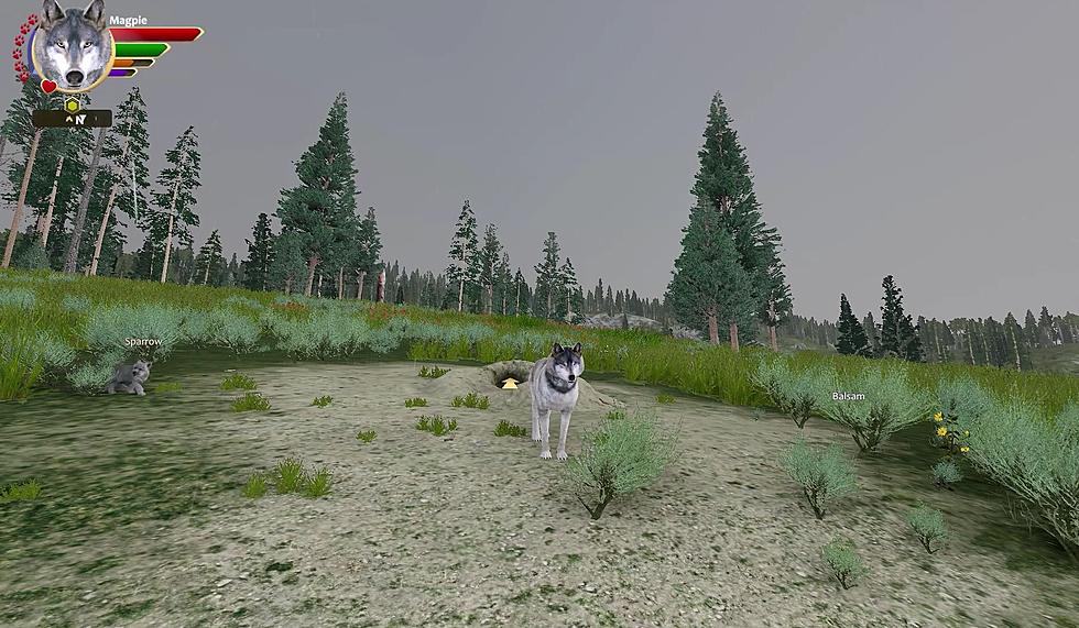 Yes, There’s a Video Game Where You Play as a Yellowstone Wolf