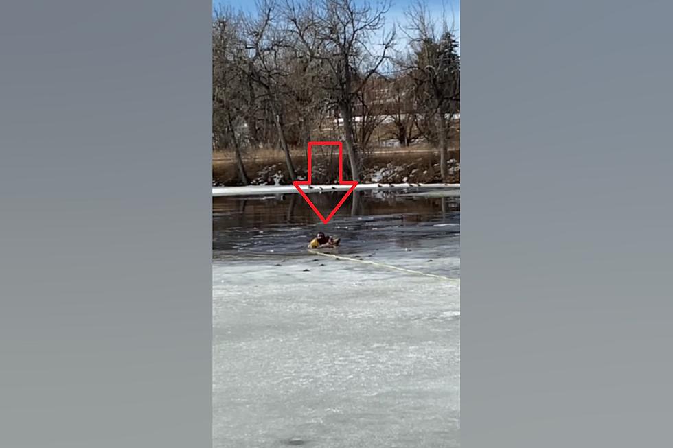 Watch Hero Colorado Firefighter Save Dog from Ice-Covered Pond