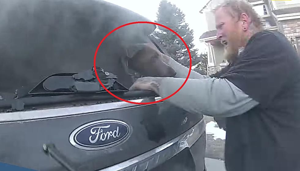 Watch a Hero Colorado Deputy Save a Dog from a Burning Car