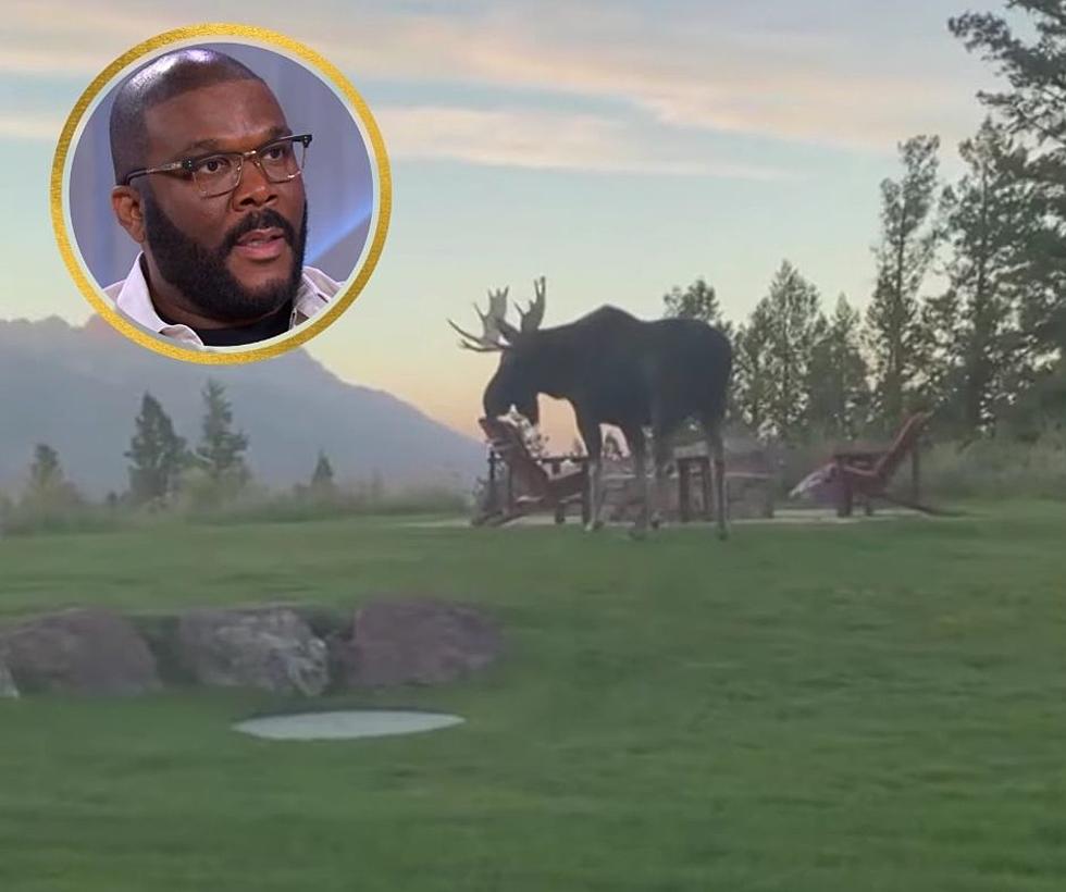 Yes, a Wyoming Moose Ate Tyler Perry&#8217;s Chair