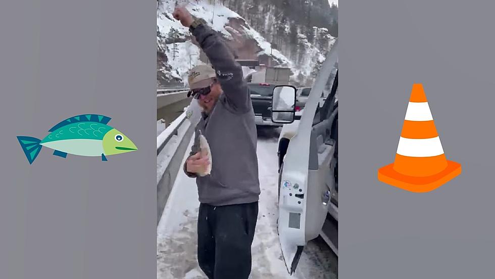 Watch a Colorado Dude Stuck in a Traffic Jam Catch a Fish