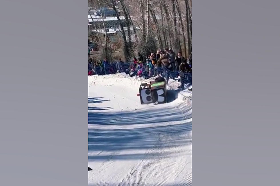 Watch Wonderful Wipeouts of Cardboard Sleds in Pinedale, Wyoming