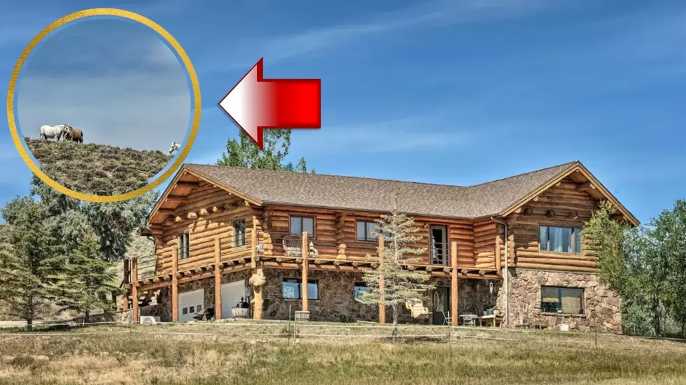 You Might See Wild Horses if You Stay in this Wyoming Cabin