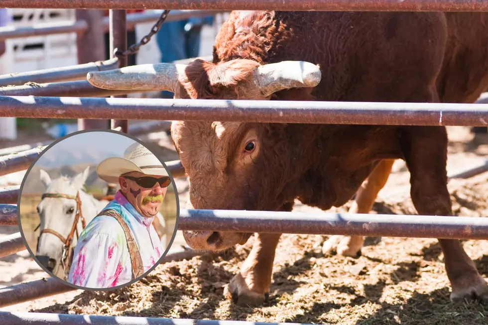 You Have To See This Guy Backflip Over A Bull!