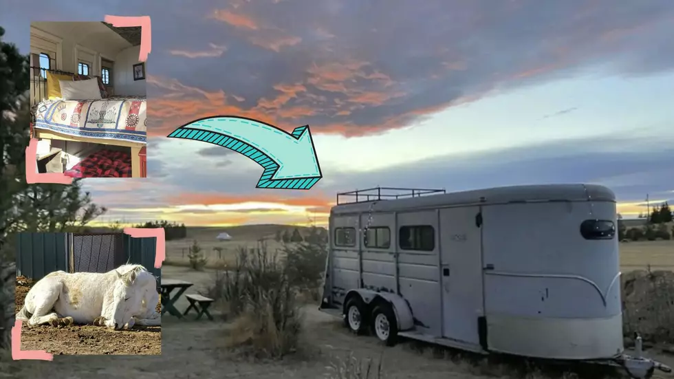 You Can Stay in this Horse Trailer Turned Tiny Home Near Cheyenne