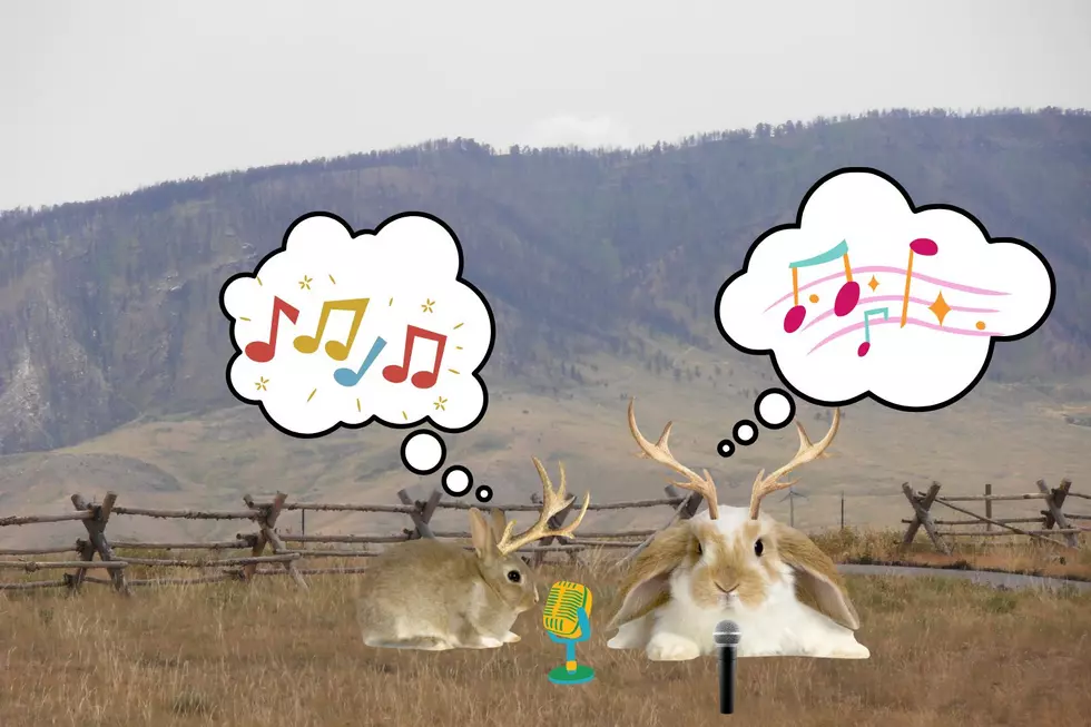 Wait? So Wyoming Jackalopes Can Sing?