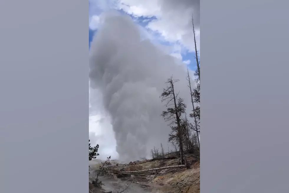 Steamboat Geyser Wakes Up with Massive Eruption Captured on Video