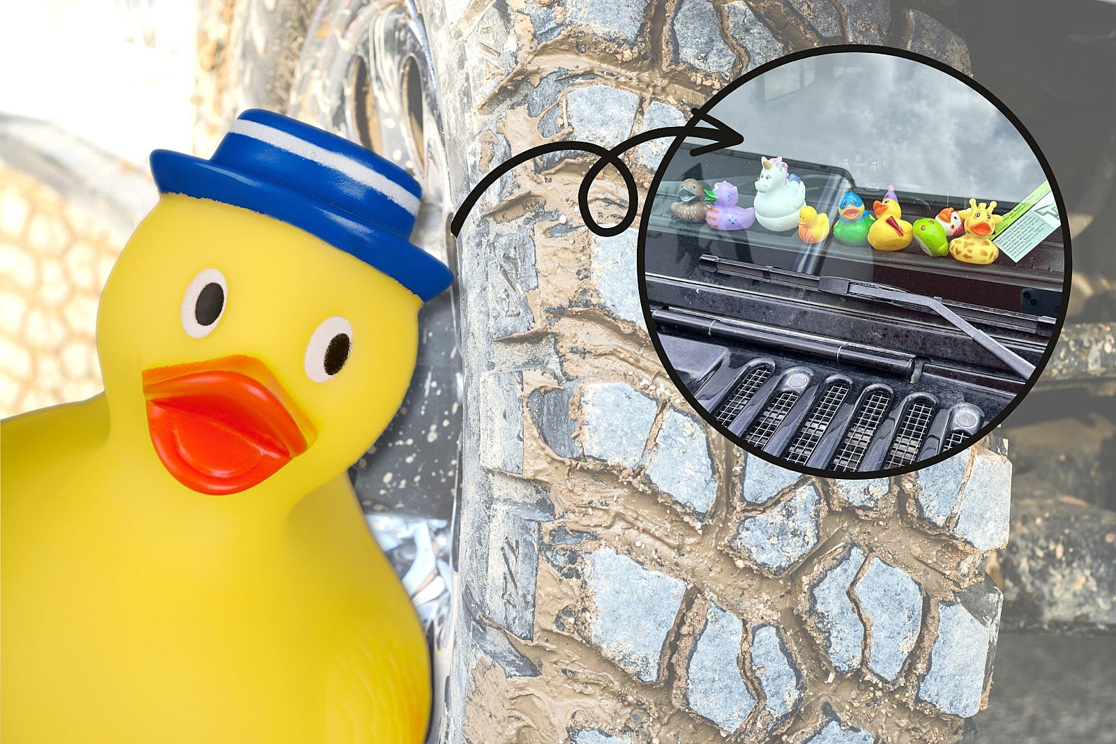 Ducks Invade Colorado Jeeps! Do You Know Origins of 'Ducking'?