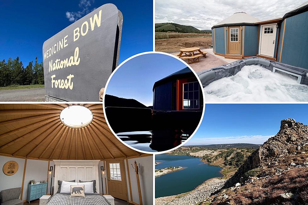 [LOOK] Discover Wild Wyoming at Medicine Bow’s Coziest Airbnb