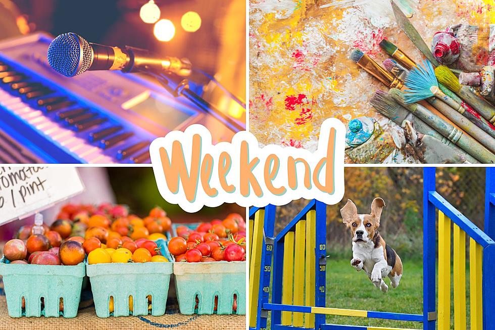 Dive Into Painting, Pups, and Pints Labor Day Weekend in Cheyenne