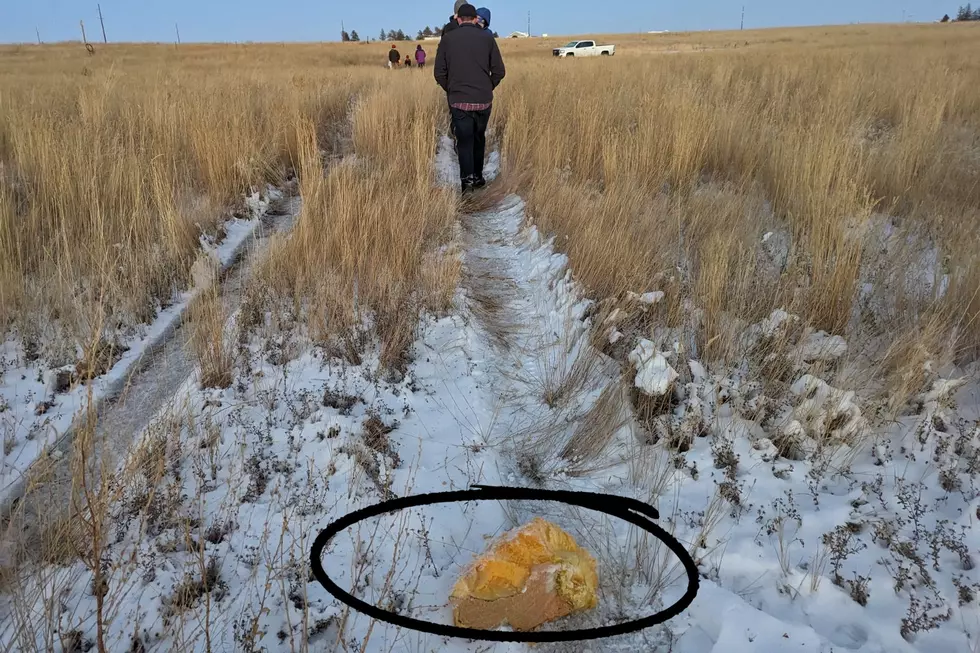 A large chunk of Blanca the Pumpkin rests in a field, about 50 yards away from the explosion site. A group of intrigued viewers walk towards the remains of Blanca. Photo Credit: Phylicia Peterson