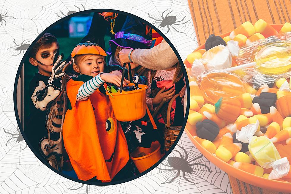 Sweet Tooth Showdown: Ranking Wyoming’s Favorite Halloween Candy