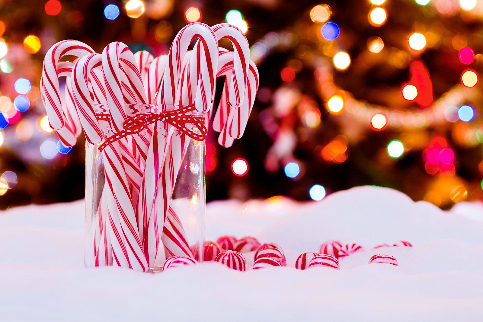 24+ Surprising Facts About Christmas (How Many Do You Know?)