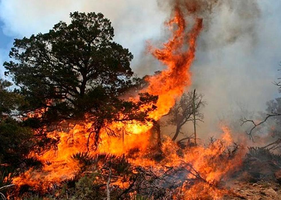 Incendios en Mexico no ceden, reportan 70 en 16 estados&#8230;
