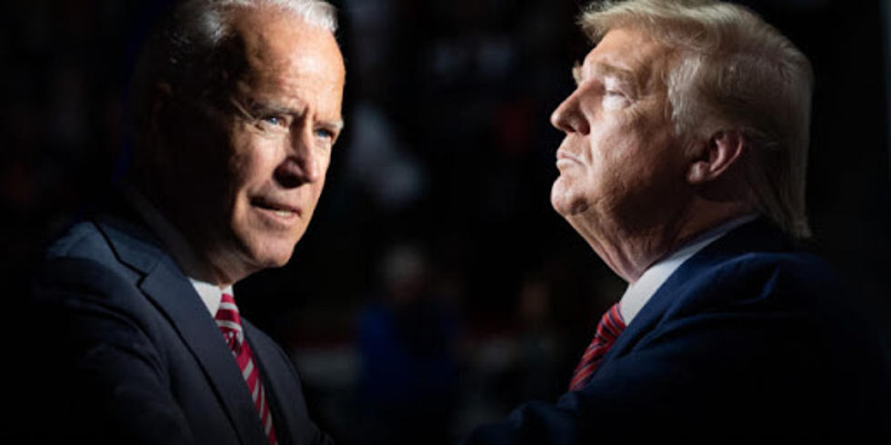 ¿Trump o Biden?: quién va por delante en los sondeos para las elecciones de Estados Unidos