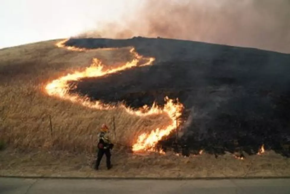 Viento y baja humedad, propicios para incendios en California