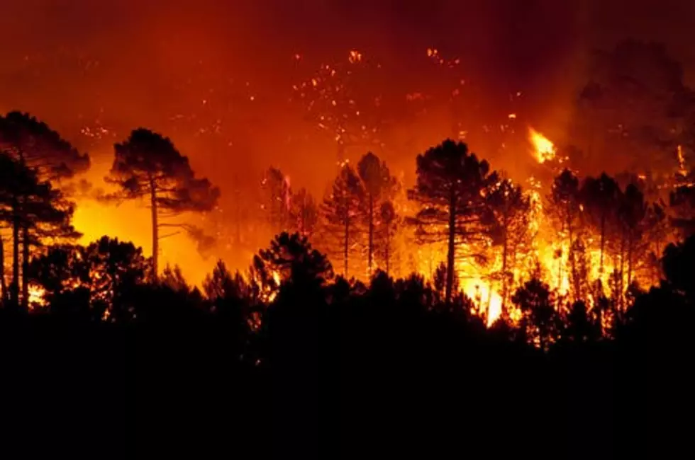 Miles de evacuados mientras incendios se propagan en California; suman 25 muertes