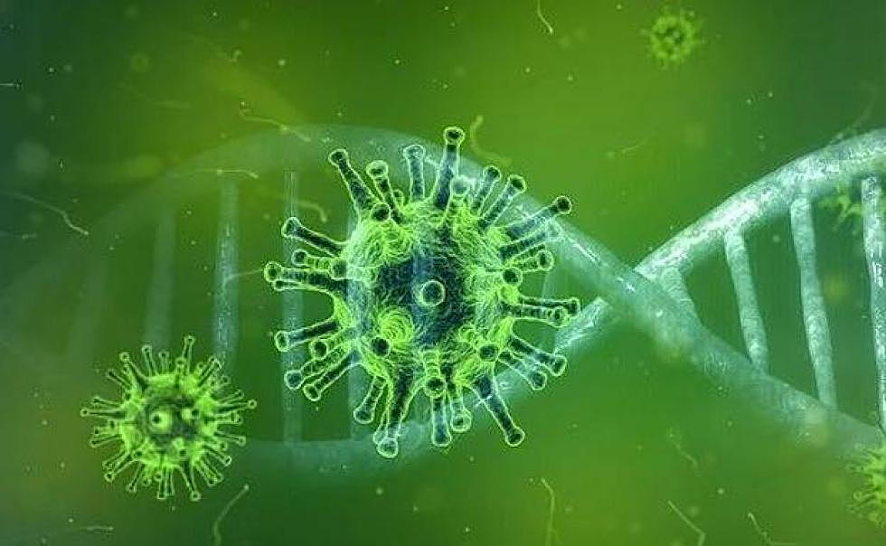 Nuevos virus animales podrían afectar a las personas: OMS