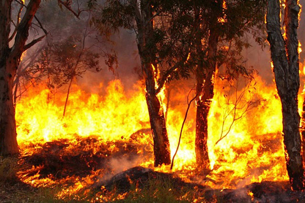 Incendio cerca de Los Ángeles, California obliga a evacuar a 60 mil personas