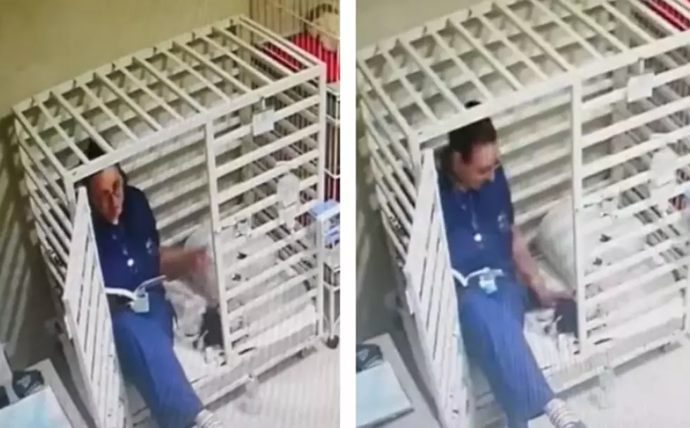 Veterinaria le lee un cuento a perro en el interior de su jaula y se hace viral
