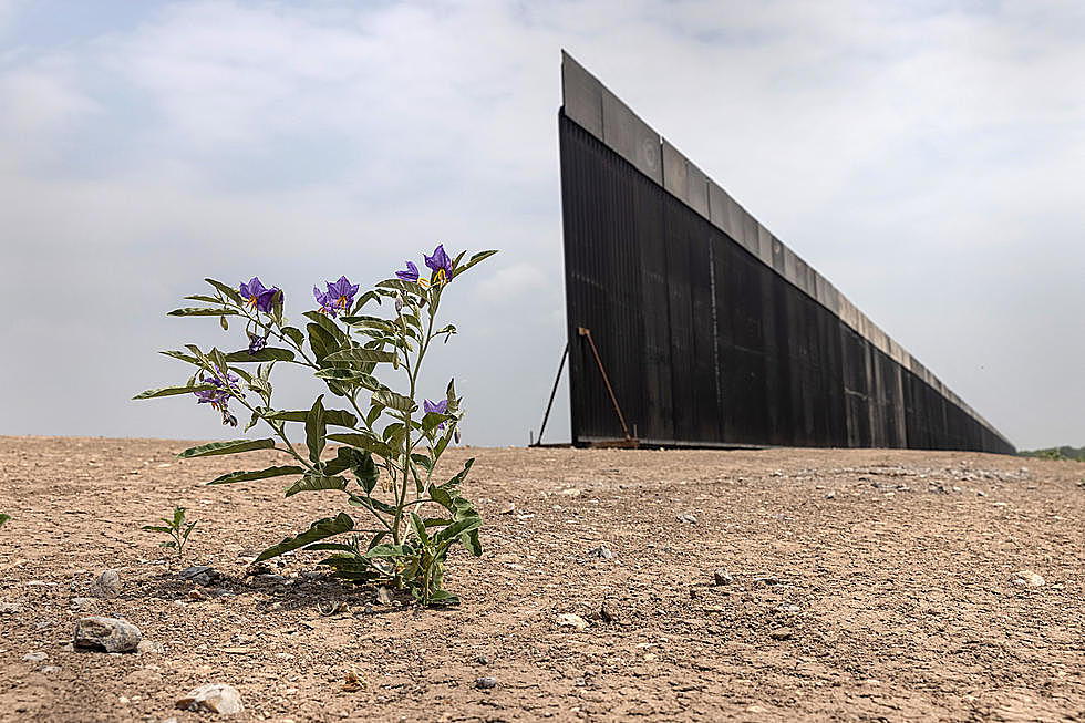 Más de $450 mil en donaciones privadas para el muro en Texas