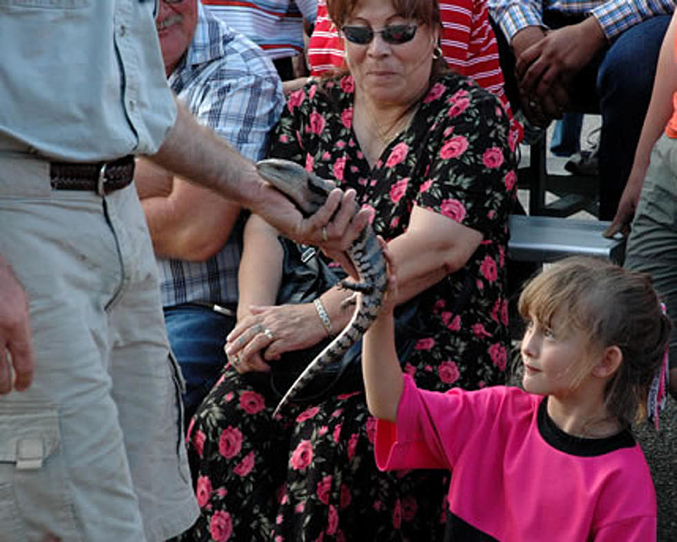 Texas Forest Festival con el espectáculo de reptiles #1 de EU.