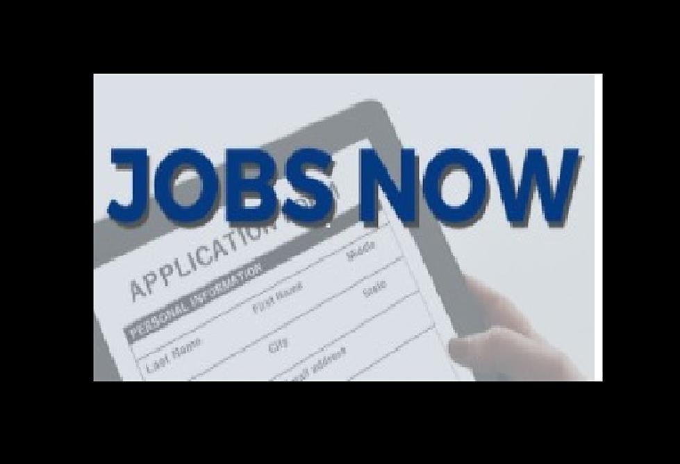 Buscas trabajo? “Gran Feria de trabajo”