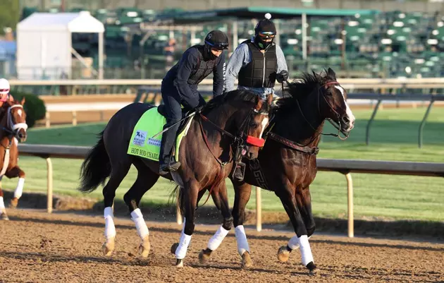 Shades Of Gray Rare Among Kentucky Derby Favorites, Winners