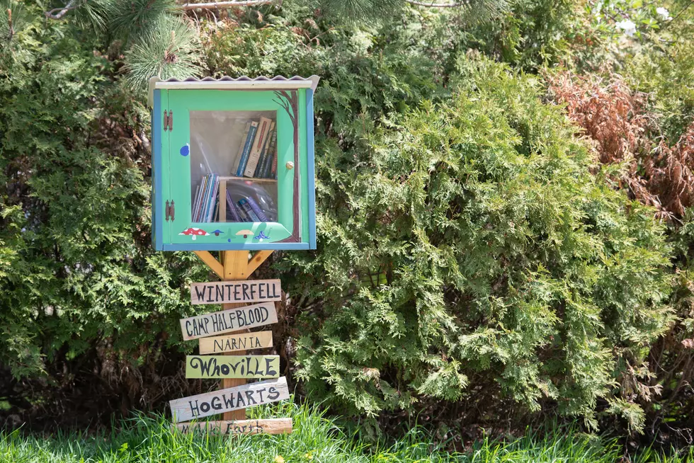 Check Out These Little Free Libraries in the Hudson Valley