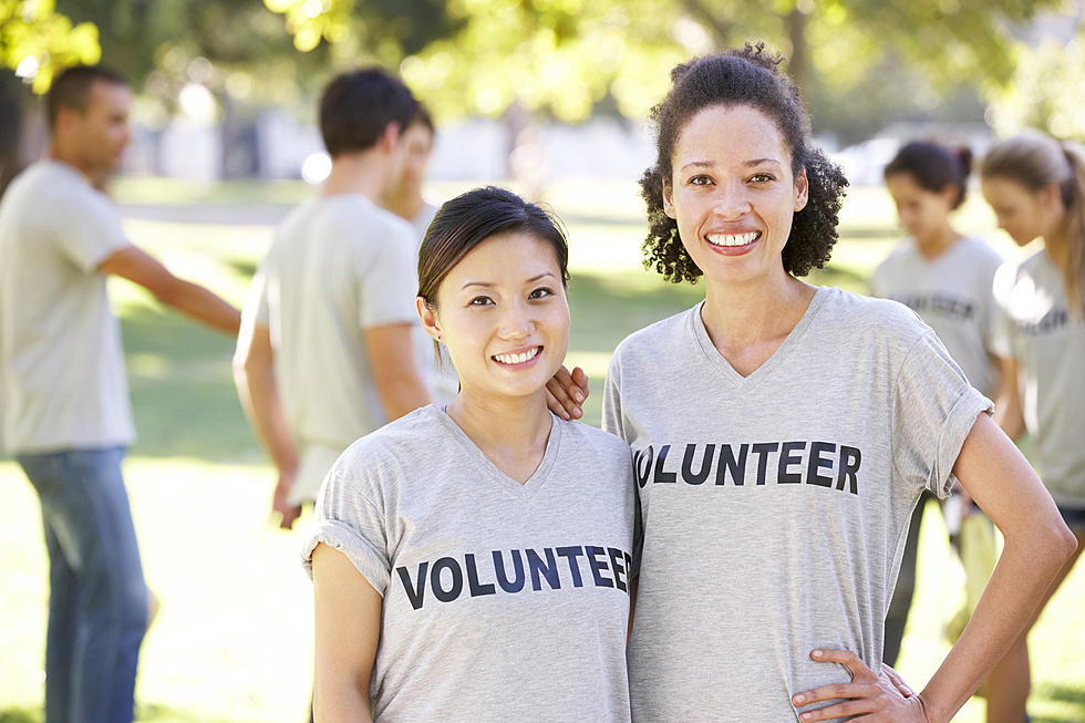 5 Reasons To Volunteer at Hudson Valley Cider Fest