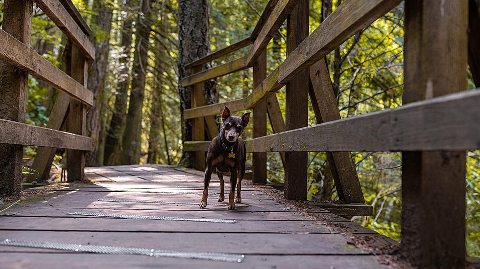 7 Easy Hudson Valley Hikes to Take in Stride Before It Snows