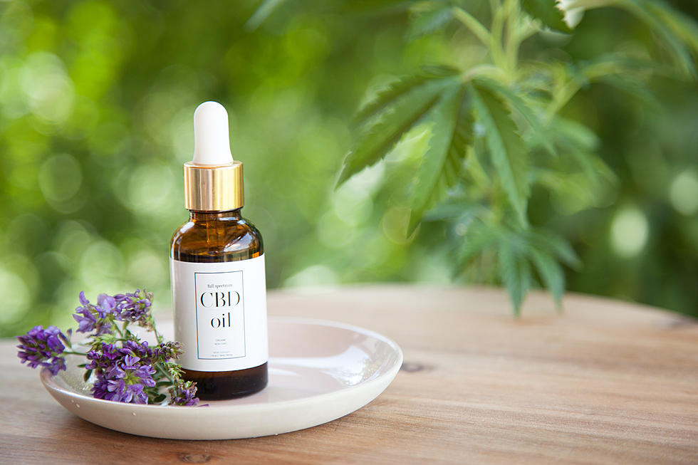 Soothe Holiday Stress with These Hudson Valley CBD Products