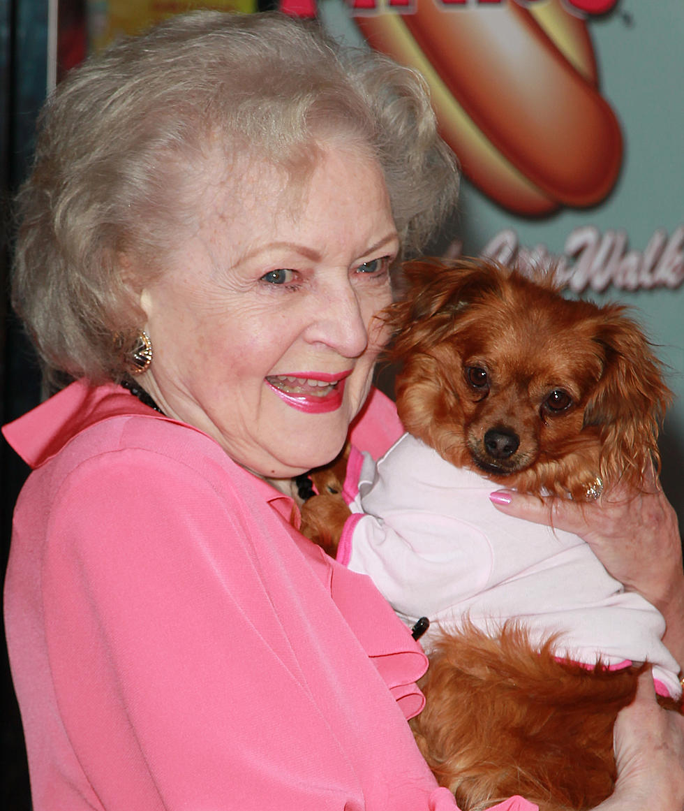 Hudson Valley Homeless Pets Will Benefit from Betty White Challenge