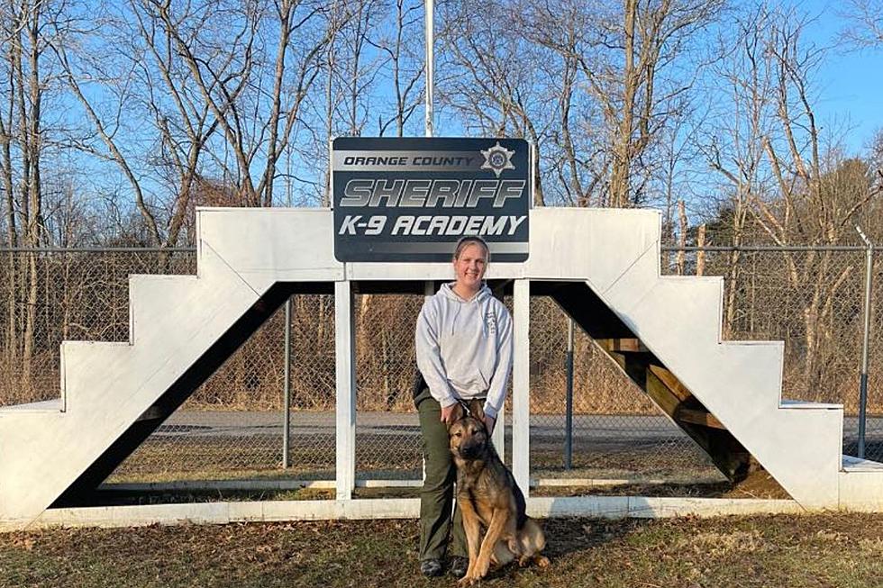 Town of Wallkill Police Welcomes K-9 Handler to Pawtrol