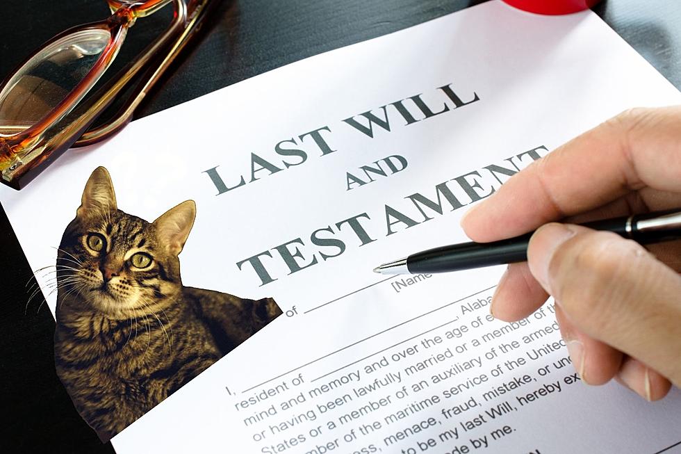 Are Holographic Wills Legal in New York State?