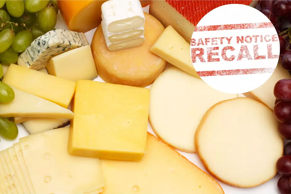 ALERT: 25 Brands of Cheese Recalled Worldwide
