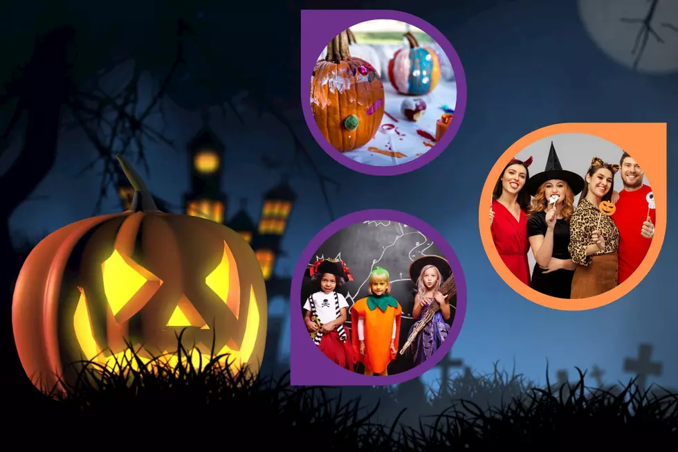 Find The Must Do Halloween Activity in Your Hudson Valley County