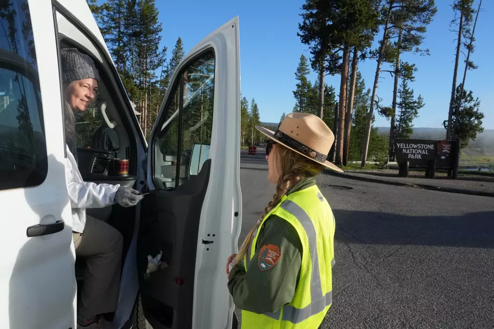 What Do You Need to Become a New York State Forest Ranger?