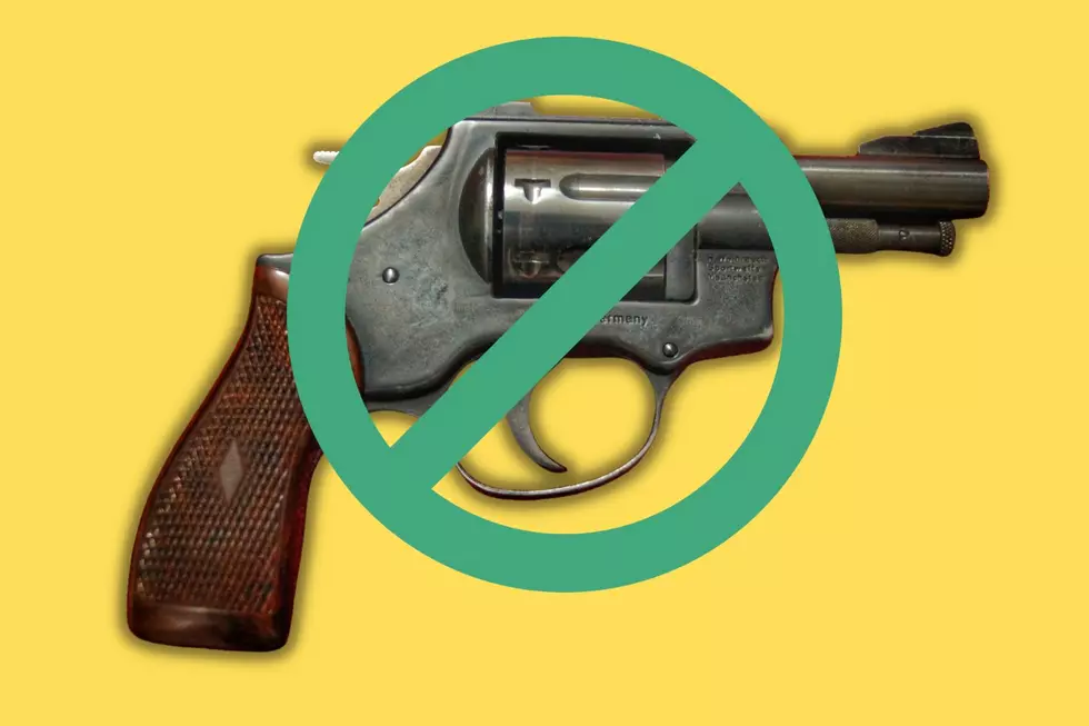 Who Can’t Legally Own a Gun in New York State?
