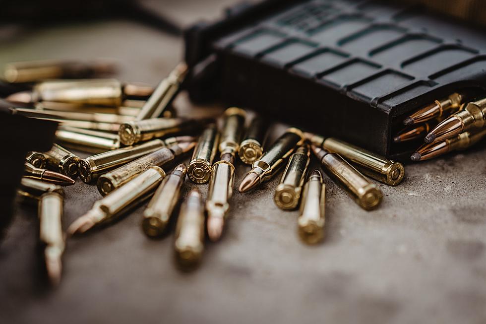 Here’s the Process to Buy Ammunition Now in New York State