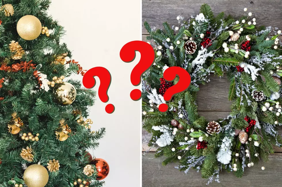 How Do You Properly Get Rid of Your Old Christmas Tree or Wreath?