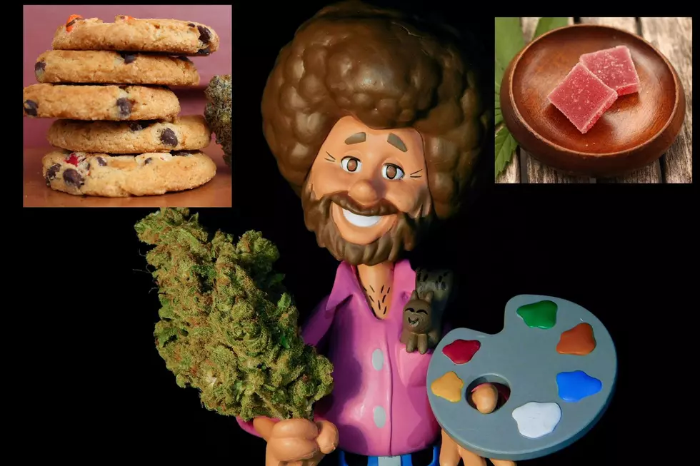 First Ever Legal Cannabis Weed Festival in Poughkeepsie, New York